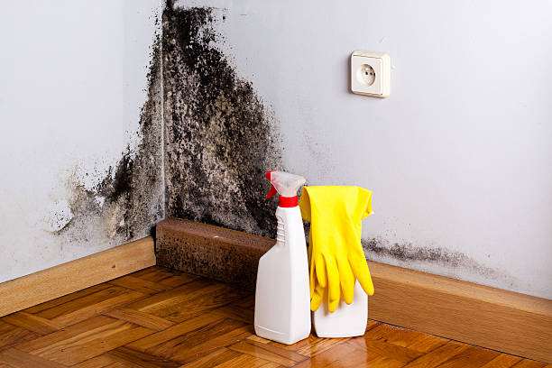 Professional Water damage restoration in Moscow Mills, MO